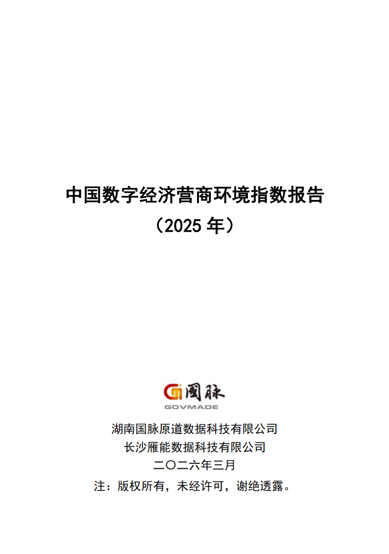 中国数字经济营商环境指数报告（2025 年）
