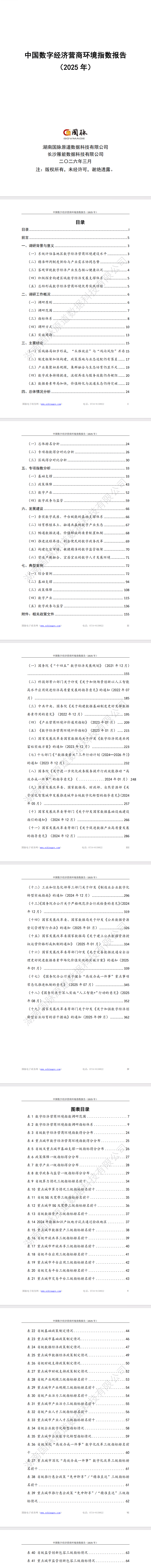 中国数字经济营商环境指数报告（2025 年）